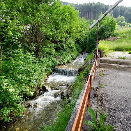 Chalet Alpine Zell Am See By Four Seasons Apartments